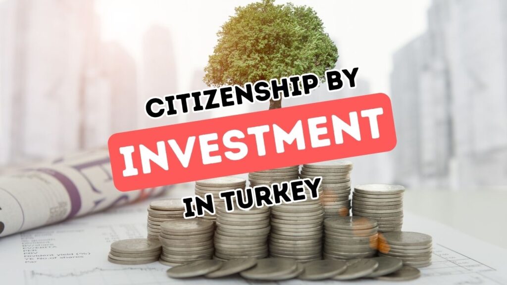 A Manual to Acquiring Turkish Nationality via Property Investment Programs